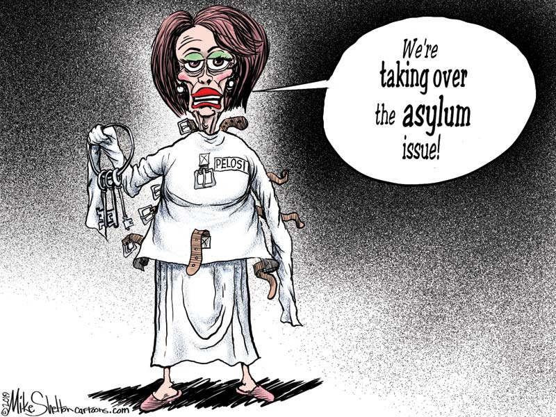 pelosi_assylum.jpg