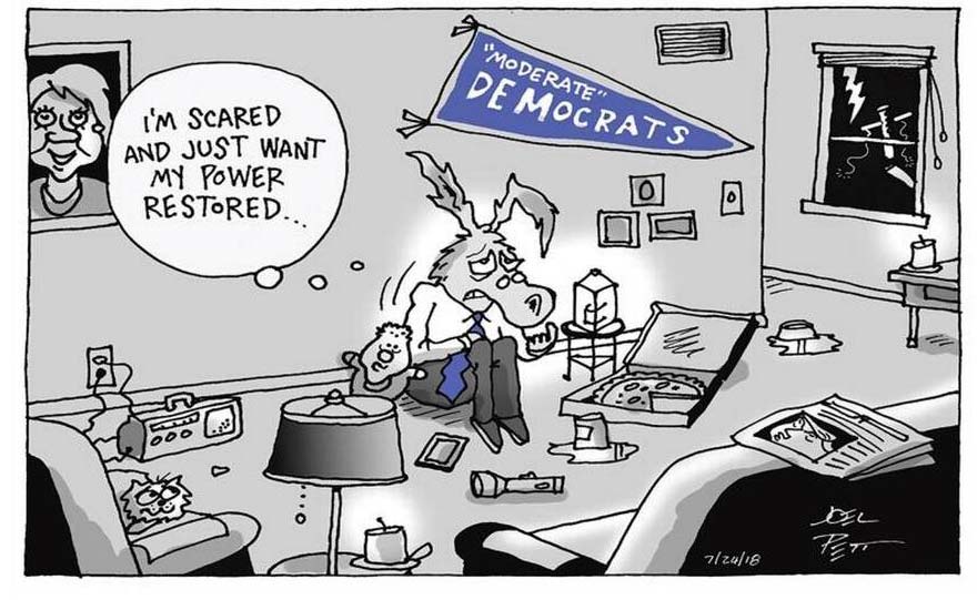 Democratic socialists stage a summertime comeback