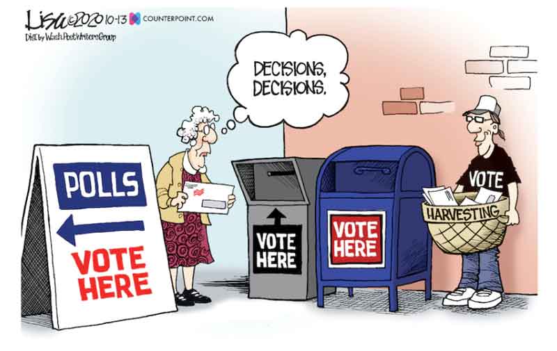 voting_decisions.jpg