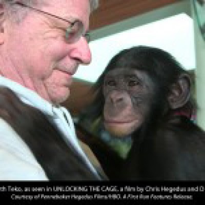 IT'S OFFICIAL! Chimpanzees are not 'persons,' appeals court rules
 
  