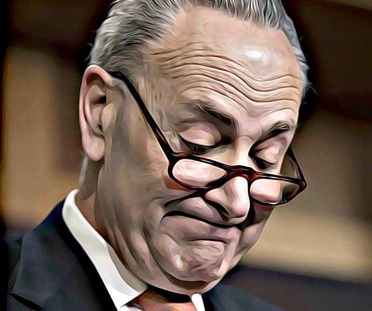 Schumer listened to the resistance --- and lost badly

  

