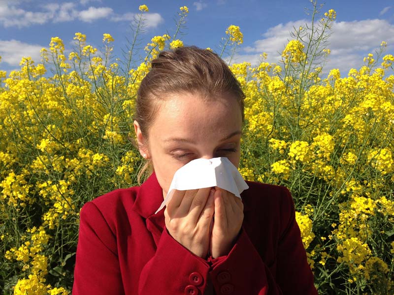 Plagued with allergies? New fixes, tips can help
	