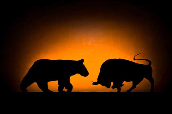Best Dividend Stocks for Bear Markets