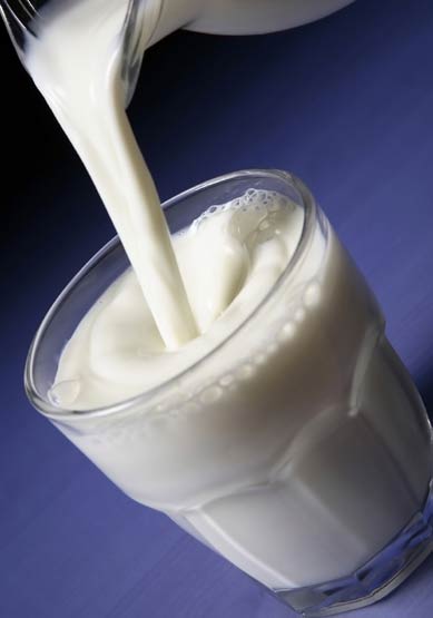 More research undermines the US government's case against whole milk
 